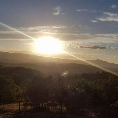 Casa Vacanza In Casale Vicino Orvieto Ficulle Esterno foto