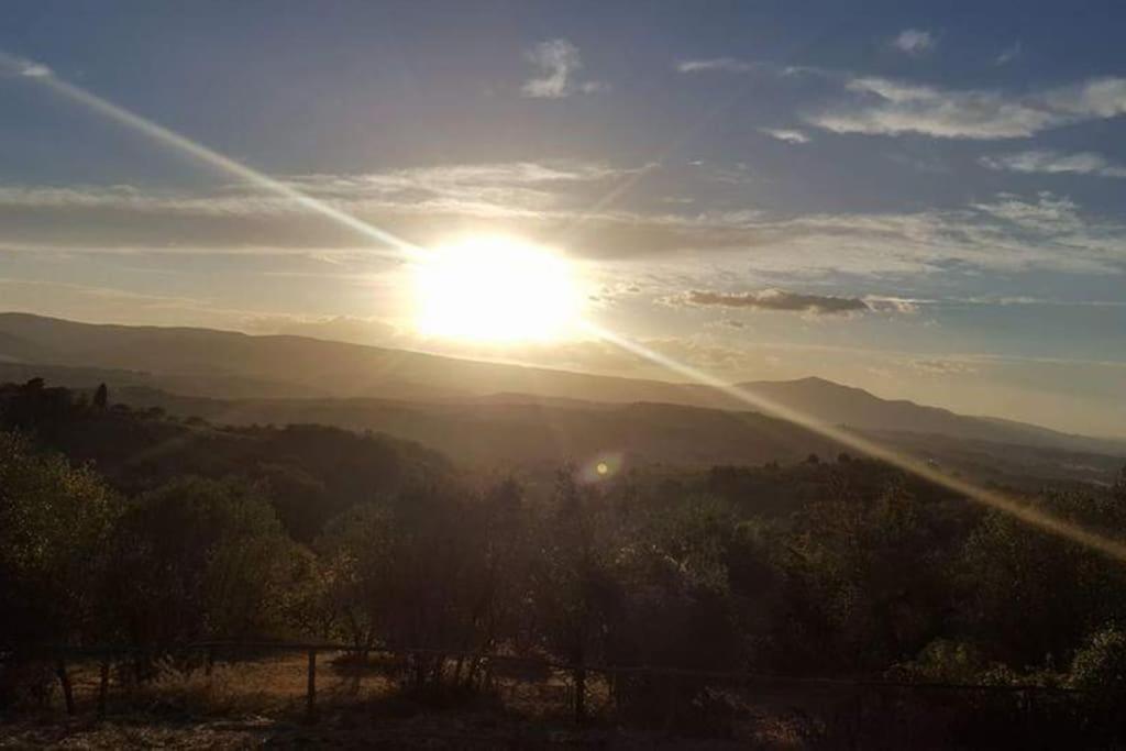 Casa Vacanza In Casale Vicino Orvieto Ficulle Esterno foto