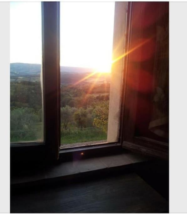 Casa Vacanza In Casale Vicino Orvieto Ficulle Esterno foto