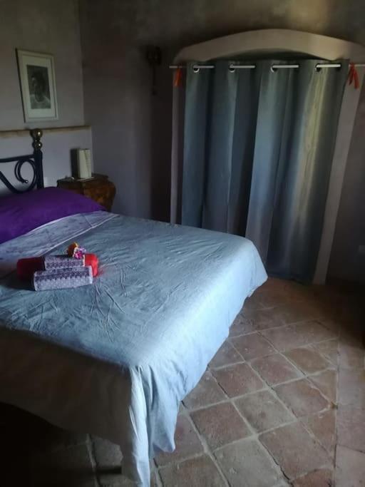 Casa Vacanza In Casale Vicino Orvieto Ficulle Esterno foto